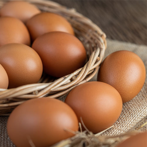 Telur Ayam 10 Peti isi (100kg)